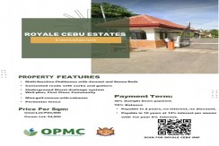 Royale Cebu Estates-Consolacion- STA. LUCIA LAND