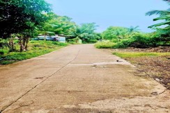 Residential Lot For Sale in San Remigio Medillen North Cebu