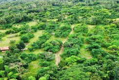 𝐌𝐚𝐧𝐠𝐨'𝐬 𝐅𝐚𝐫𝐦 𝐋𝐨𝐭 𝐅𝐨𝐫 𝐒𝐚𝐥𝐞